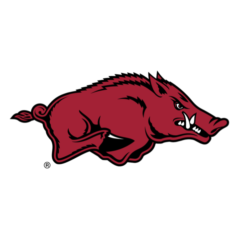 Arkansas Razorbacks